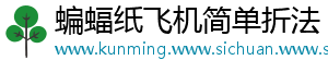 蝙蝠纸飞机简单折法